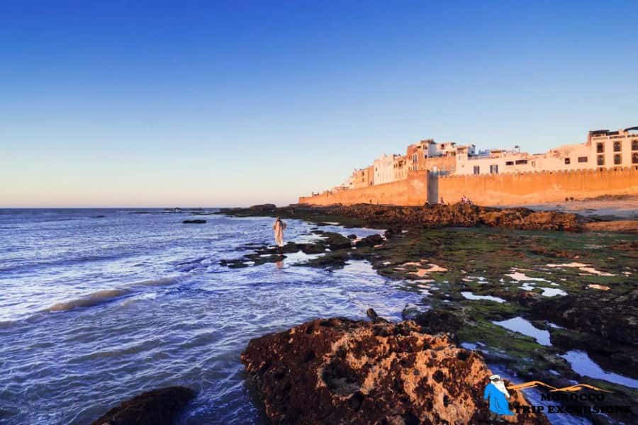 Excursi N De Un D A A Essaouira Desde Marrakech