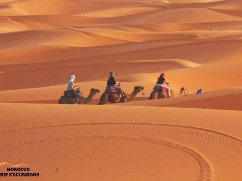3 days desert tour from Marrakech to Merzouga Shared & Private