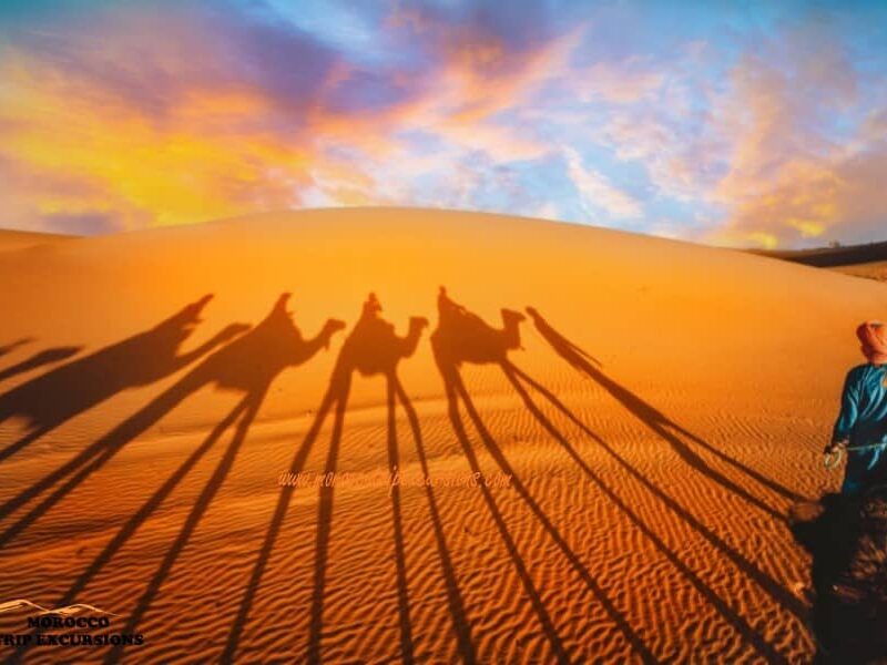 Best 4 days Sahara desert tour from Marrakech to Merzouga