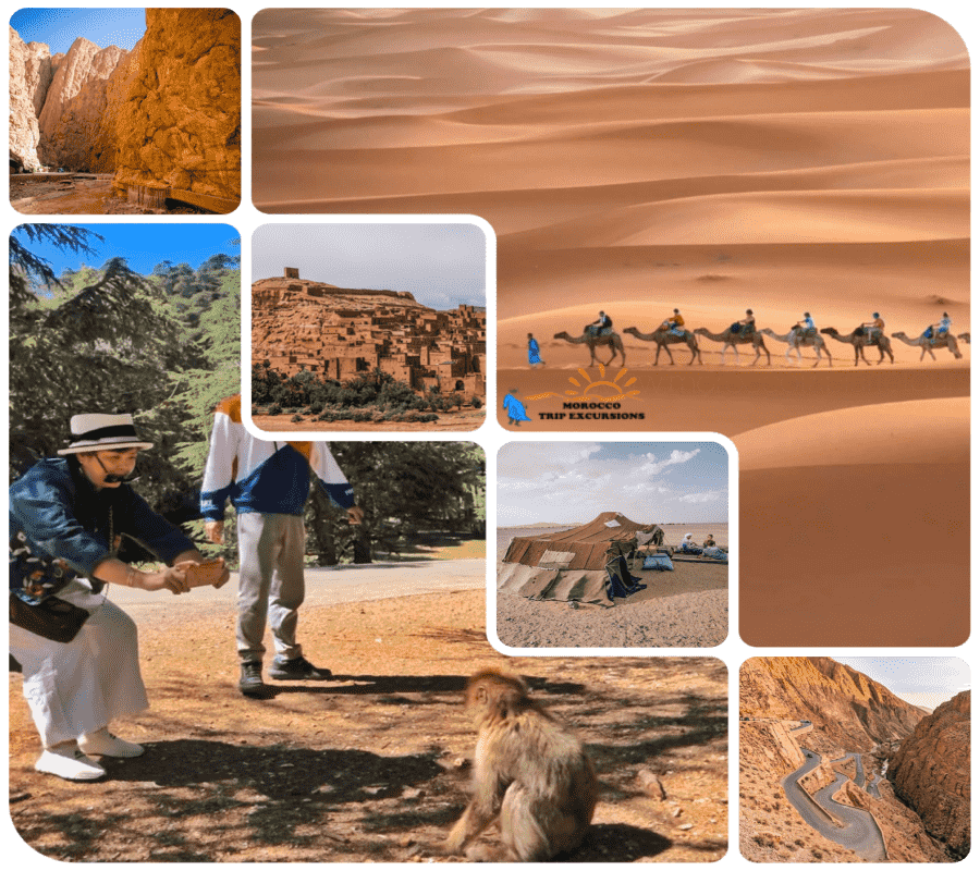 4 day tour from Marrakech to Fes | 4 days morocco desert trip